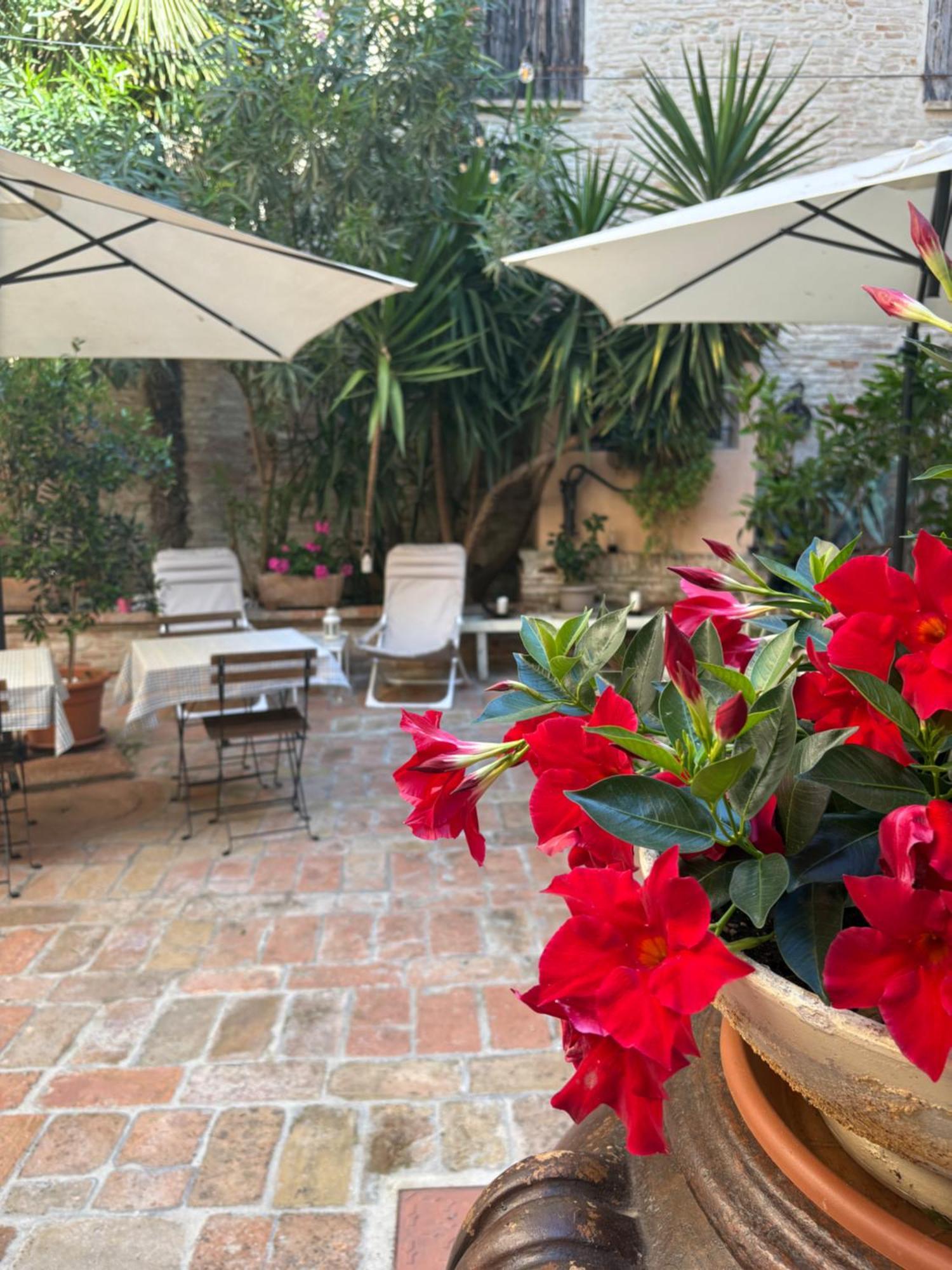 Relais B&B Corte Dei Turchi Longiano Exterior photo
